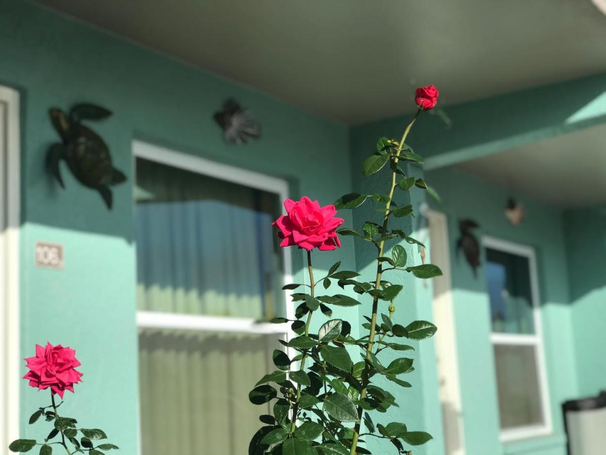 Immokalee Inn Exteriér fotografie
